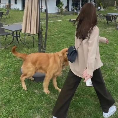 时光骇客
